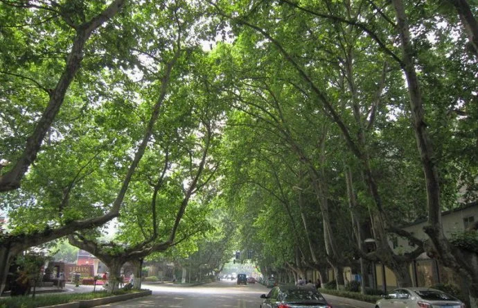 中国铁路重大事故统计（2006年3月15日南京地铁晚点事故）3