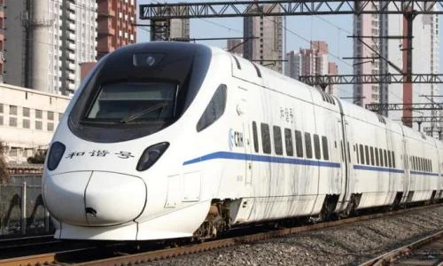 可以带宠物猫上地铁吗（成都猫咪可以坐地铁吗）1