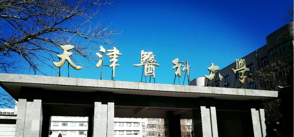 天津地铁1号线的站点周边(天津市河西区职工大学附近地铁)