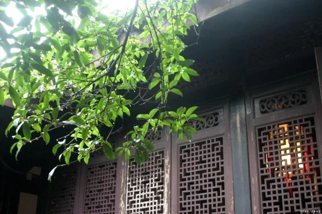 你知道绍兴的地铁什么时候建完吗（绍兴地铁二号线通车时间）2