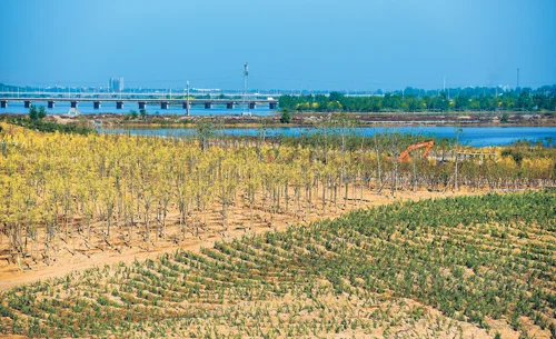 我每天做北京地铁1号线发现复兴门以西是方形隧道复兴门以东是圆形隧道为什么（北京地铁1号线保护门）1