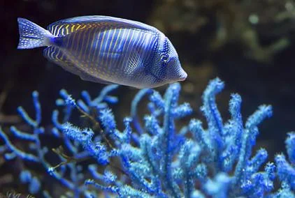 西安地铁可以带酒进站吗（西安地铁能不能带鱼）3