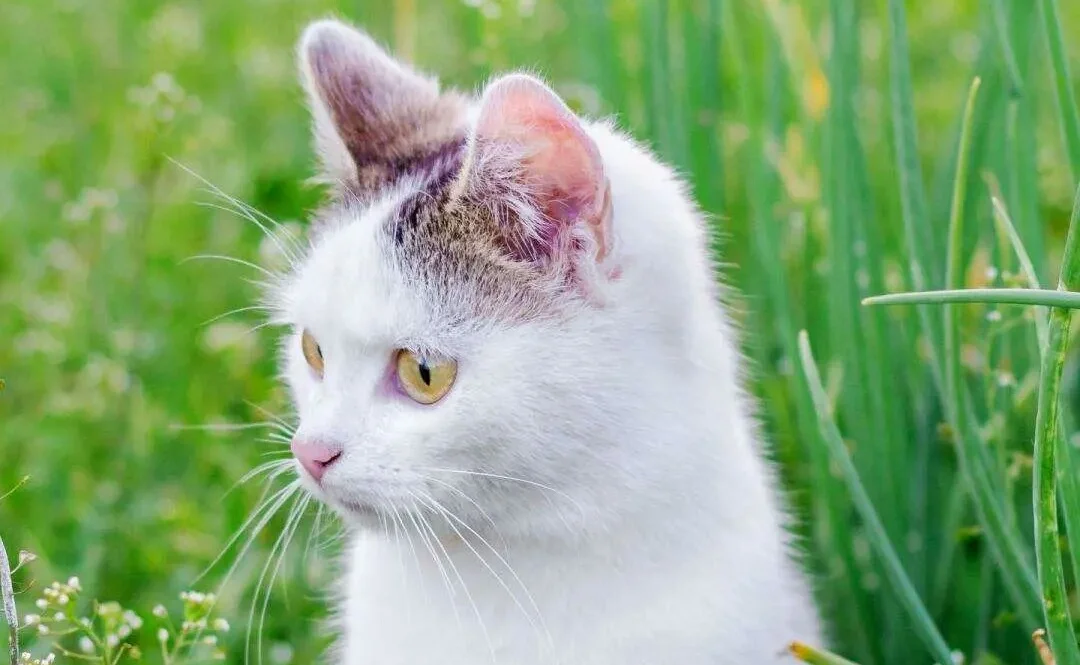 上海地铁博物馆的地址（上海地铁博物馆探营）