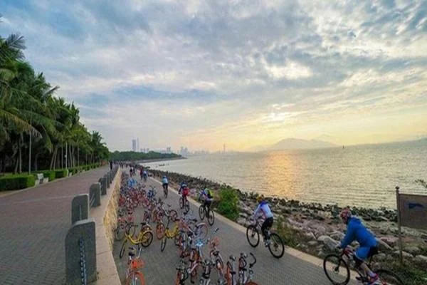 深圳去哪个地铁口看海（深圳有地铁到的海滩有哪些）