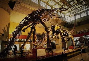 去自然博物馆坐地铁哪站下车（去自然博物馆地铁路线）