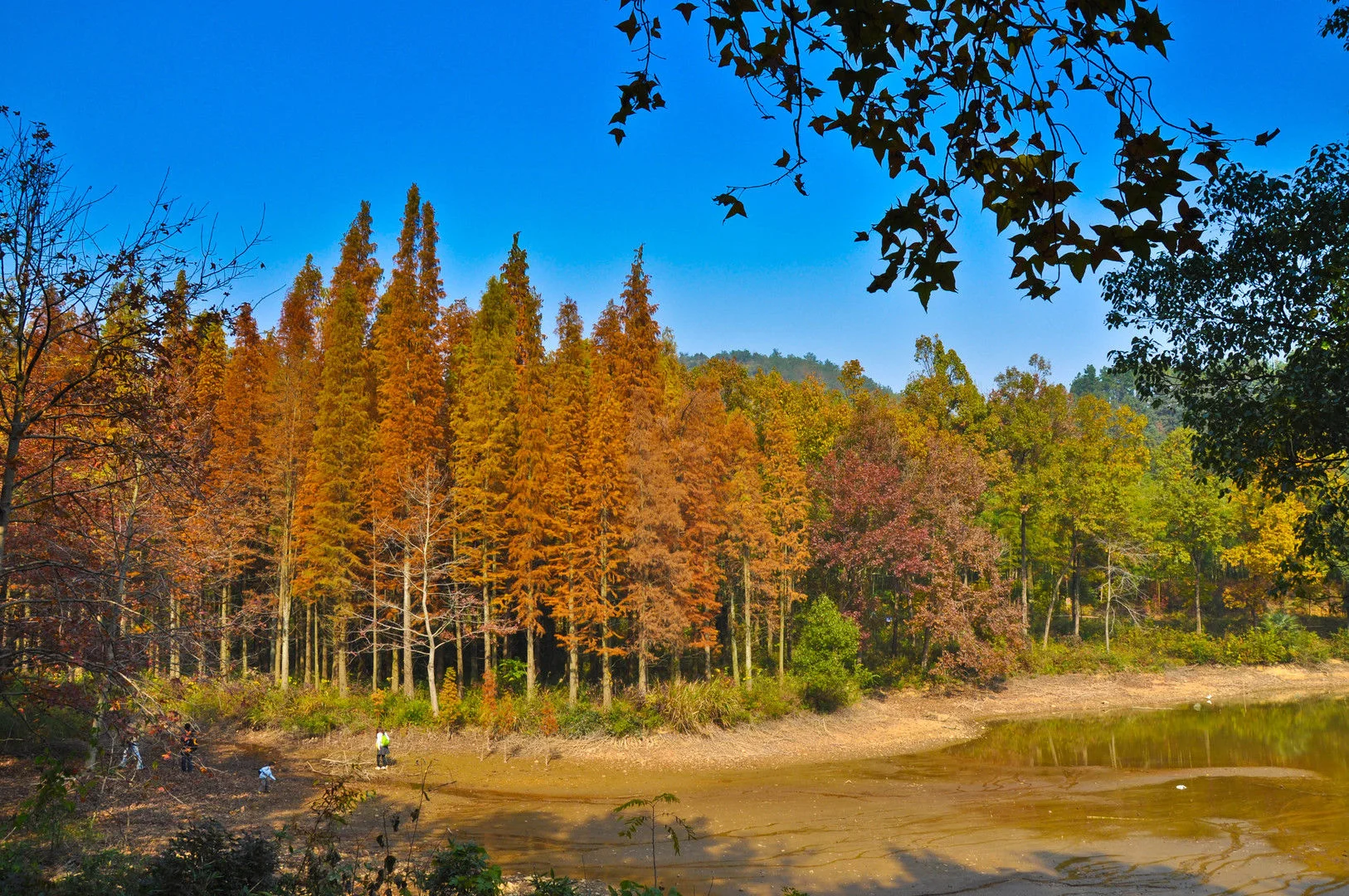 想知道: 杭州市 杭州长乐林场 在哪（杭州长乐林场2号地铁怎么坐）2