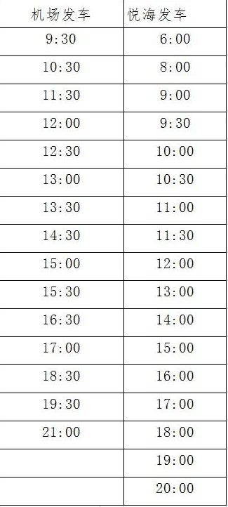 银川到机场有地铁（银川河东机场地铁站）2