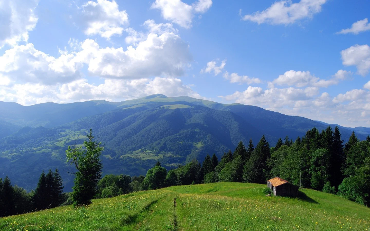 西安购物中心排行榜是怎样的（西安momopark购物中心地铁口）2