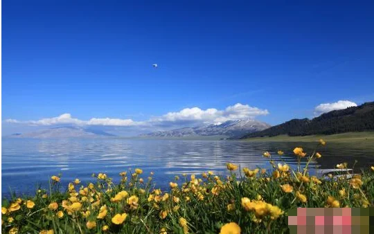 西藏铁路的意义(铁路局援藏)2