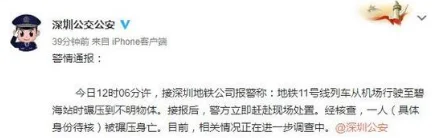 深圳地铁施工现场龙门吊倒塌伤亡惨重是意外事件吗（深圳地铁夹死过人吗）2