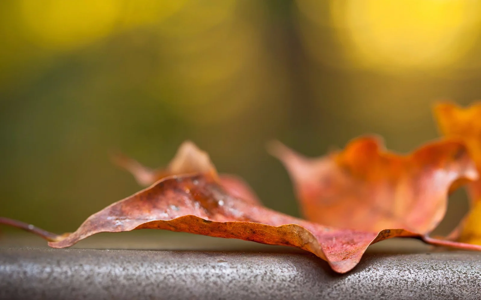 广州东站坐地铁到广州南站要多少时间（广州东坐地铁到广州南）3