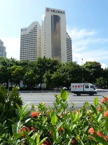 地铁站一直是网红摆拍的地方有哪些网红地铁站值得打卡游玩（深圳网红地铁站出口夜景）4