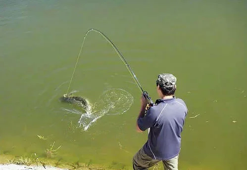 南京马群地铁站附近哪有免费钓鱼的好地方啊上次去了五棵松的一个小湖结果被 赶了！！！钓鱼地真难找（南京钓鱼地铁）2