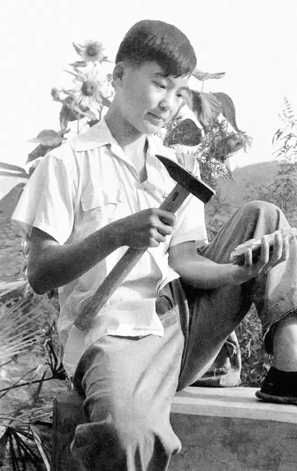 南京502公交如何记费（南京地铁张建平）3