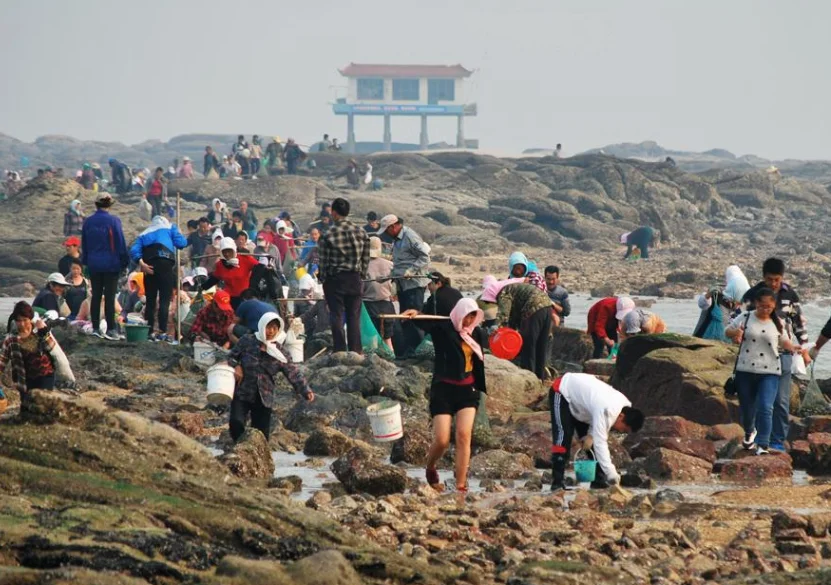 日照的高铁和动车什么时候修建准备修到哪里（日照铁路公园）3