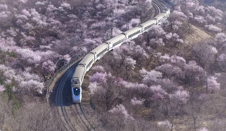 中国在建高铁有哪些（宜张铁路图）