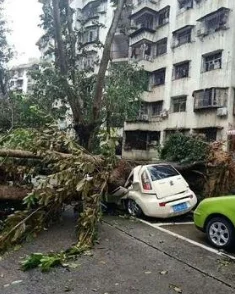 受台风“巴威”的影响有哪些列车已经停运了（巴威台风吉林铁路停运通知）5