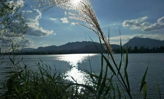 到张家界的高铁什么时候通车有知道的吗（慈利县高铁）2