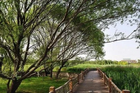 北京地铁15号线去奥森公园出哪个口（奥森公园南门地铁站）