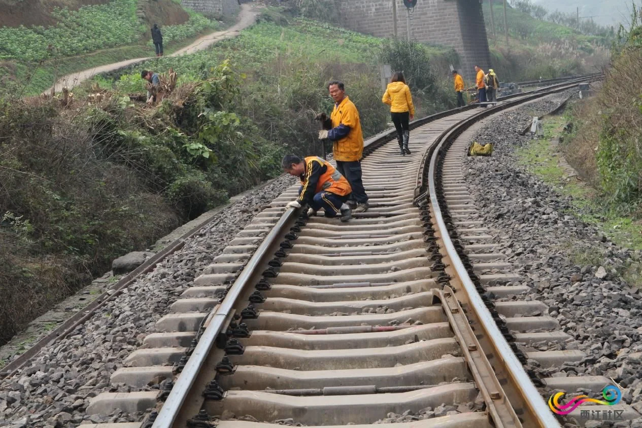 铁路大型养路机械有哪几种（铁路养护设备）2