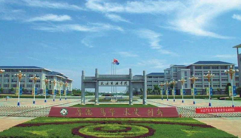 武汉东湖学院到大东门地铁怎么坐（武汉东湖学院在哪个地铁站）3