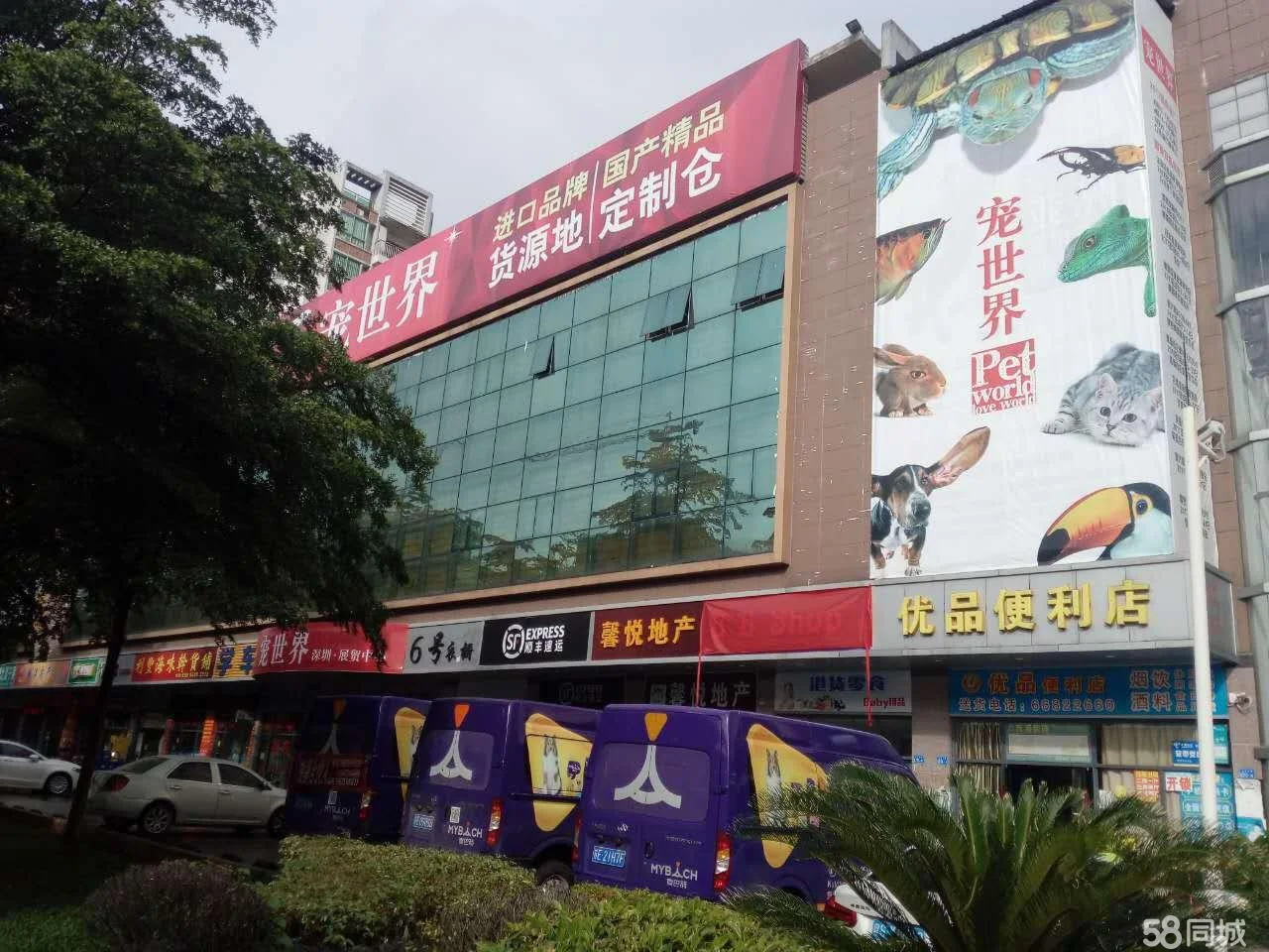 深圳白石龙地铁站C出口附近有一家宠物店跟狗贩子狼狈为奸说送养实则收费出售的病狗小心再上当（深圳永湖地铁站附近的宠物店）1