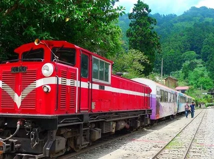 阿里山森林铁路为什么暂停（阿里山小铁路）3