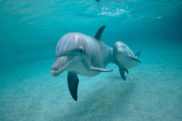 武汉地铁运营时间是如何的（武汉黄龙山地铁站附近租房）2