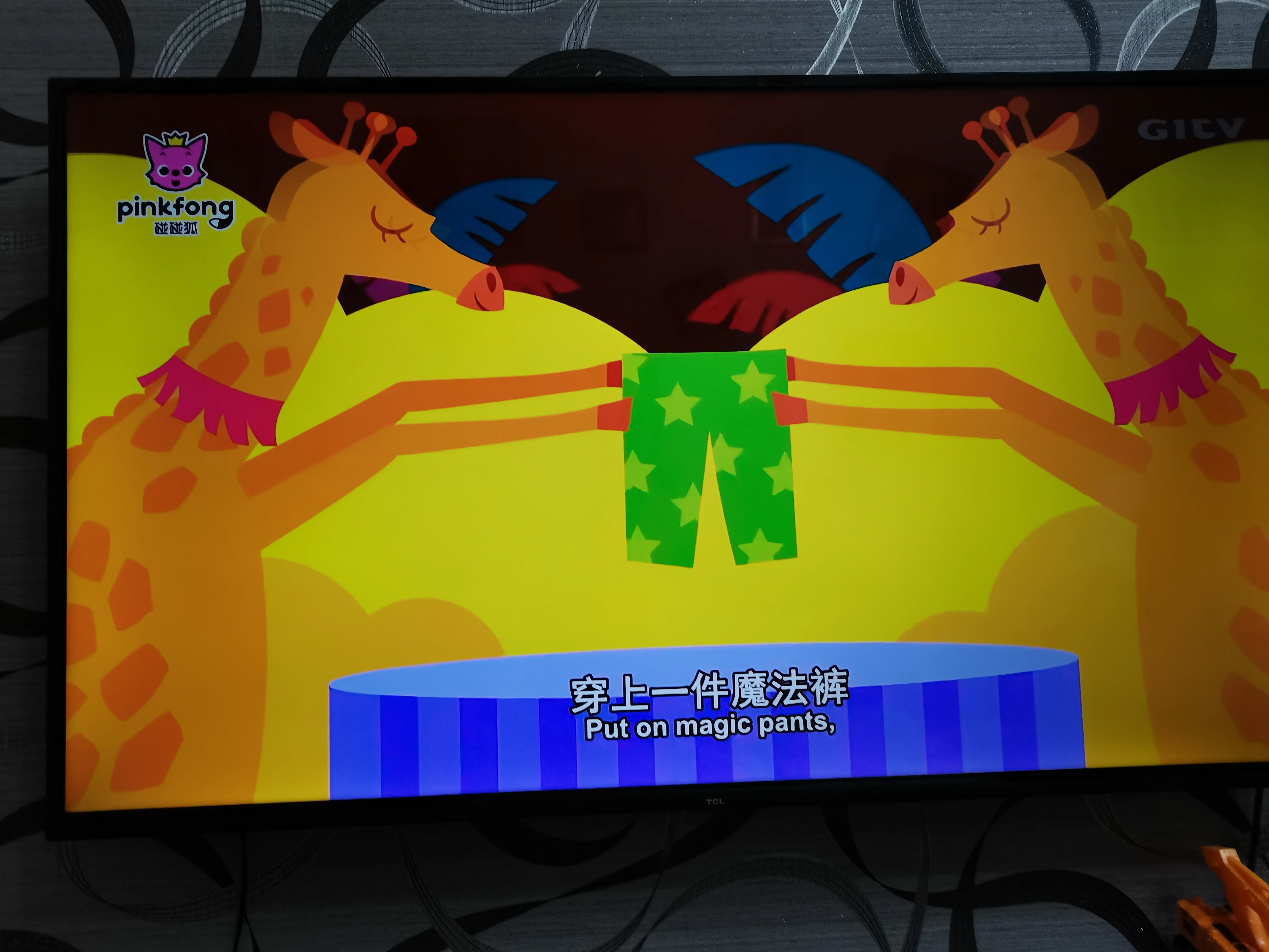 高铁怎么带宠物（高铁怎样带宠物）2