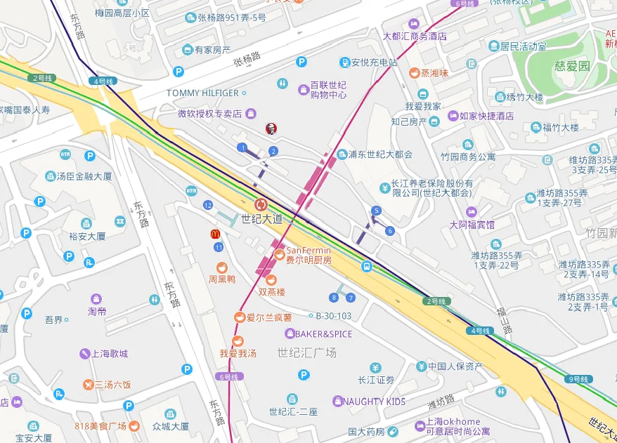 世纪大道地铁站有几条线路(宁波地铁线路世纪大道站)2