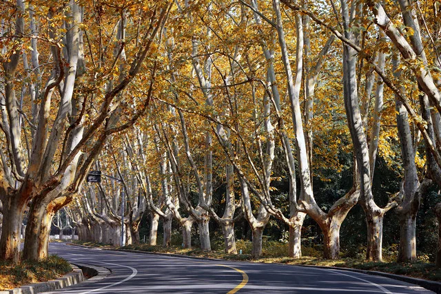 南京地铁14号线开建了吗预计什么时候建好停靠的站点是哪几个可以用地图标出来给我嘛谢谢啦!(南京地铁资金来源)2