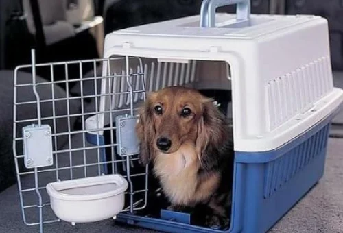 高铁的人工客服电话是多少(长沙到贵州高铁多少钱)5