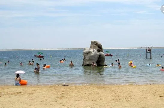 上海金山区要坐几号线地铁(上海地铁金山站是几号线)3