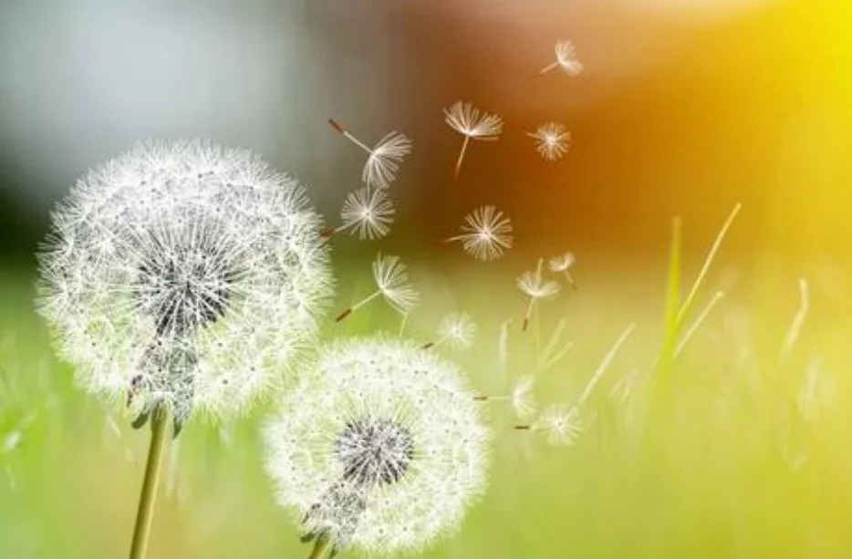 淮安高铁东站具体位置在哪里（赤诚通高铁）