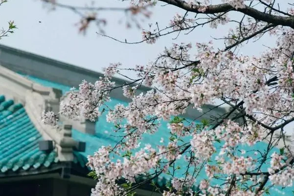 武汉地铁线附近有什么好玩的地方 从二号线光谷开始请大佬解答（武汉地铁附近哪里好玩的地方吗）
