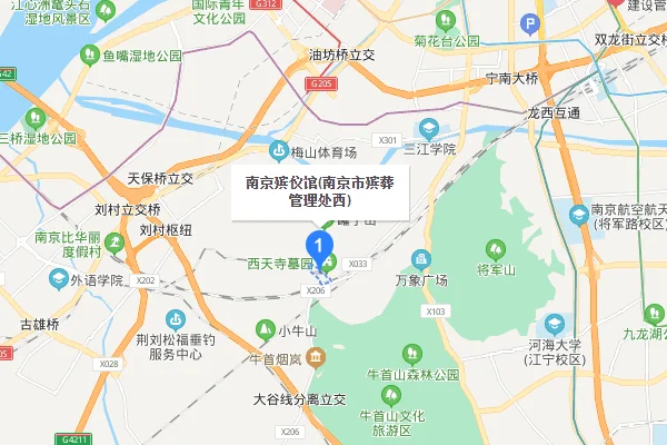 南京地铁规划地铁8号线什么时候开始建（南京太新路地铁）