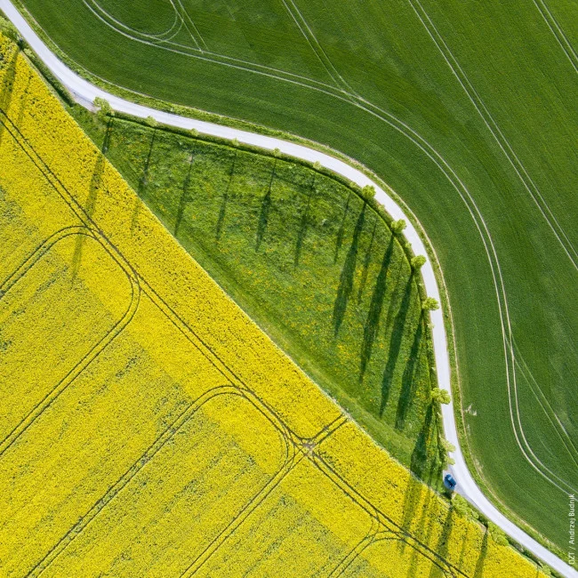 卡雷拉轨道赛车怎么这么贵（德国铁路赛车）2