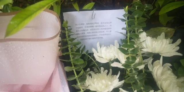 地铁屏蔽门到底危险在哪里（上海地铁致死）