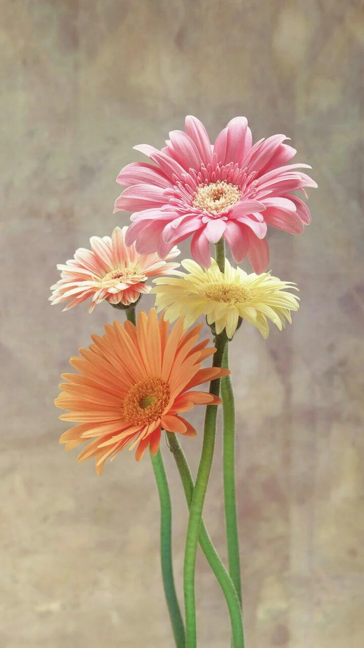 天津地铁都有哪些种优惠卡哪种最合适（天津地铁用什么银行卡）