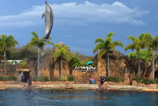 地铁站附近景点大盘点上海每个地铁站附近都有什么值得一去的地方(南京海鲨湾奥体店附近地铁)5