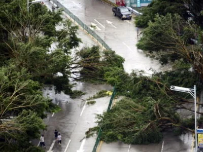 受台风“巴威”的影响有哪些列车已经停运了（巴威台风吉林铁路停运通知）