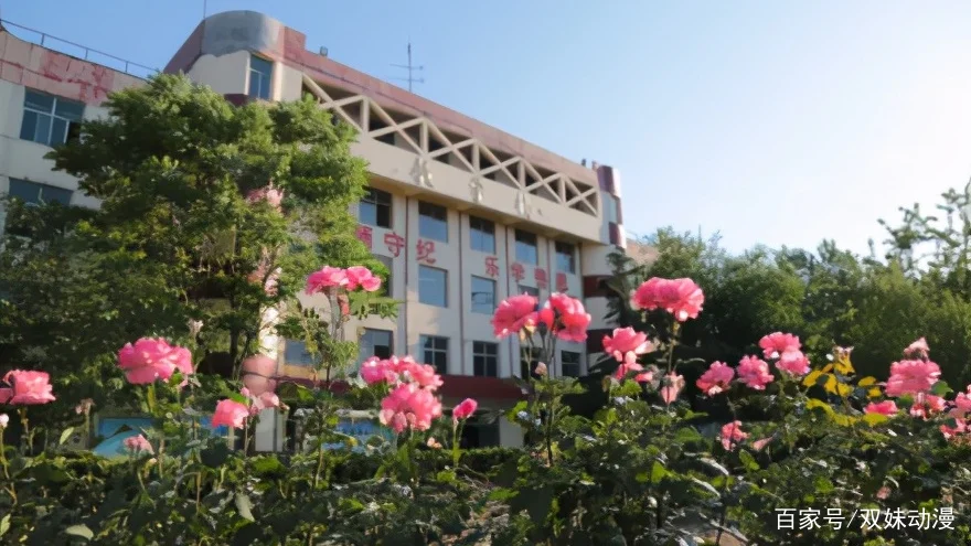 铁路专业的就业形势好吗哪些学校的铁路专业好（2018年铁路就业形势）1