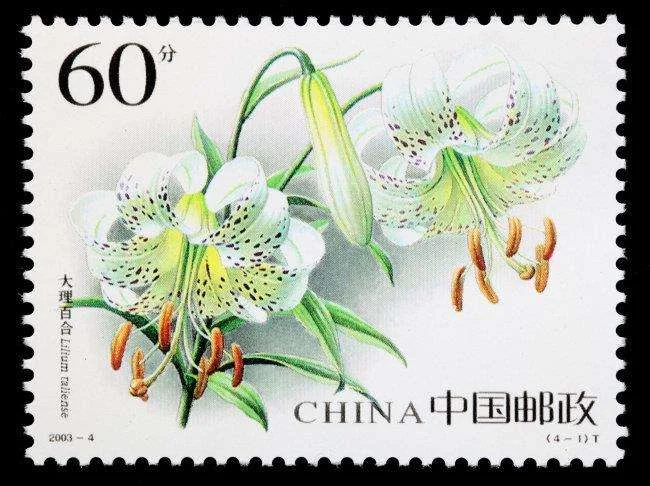 中国最好玩的地方有哪些（尼泊尔铁路）5