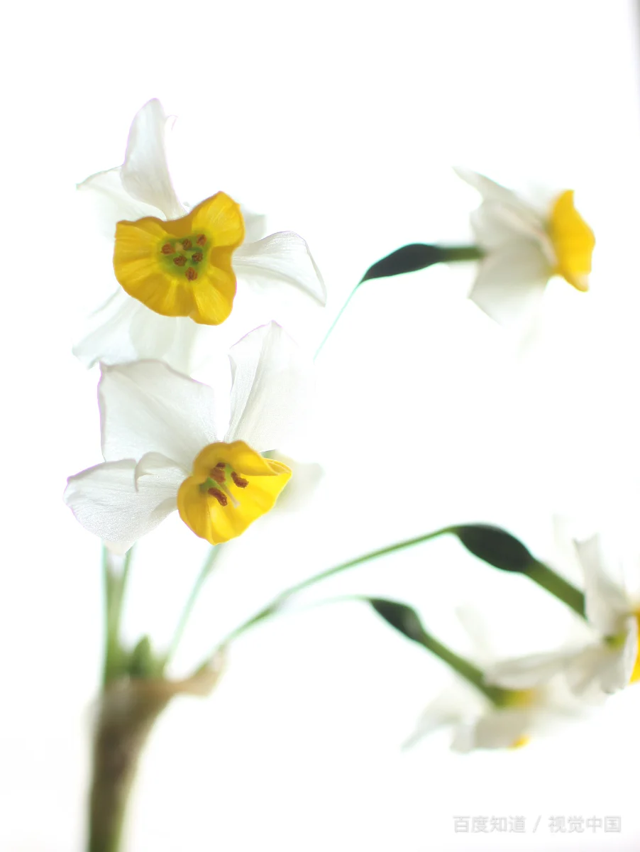 西安地铁驾驶员现在的工资待遇如何（西安地铁司机比武）