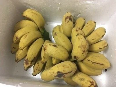 广州高铁线路有哪几条线（广州出发高铁）