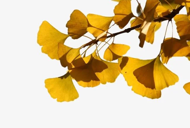 成都地铁的地铁特色（成都地铁有感）