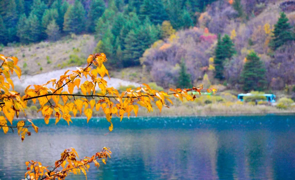 重庆到九寨沟有高铁吗(九塞沟高铁)2