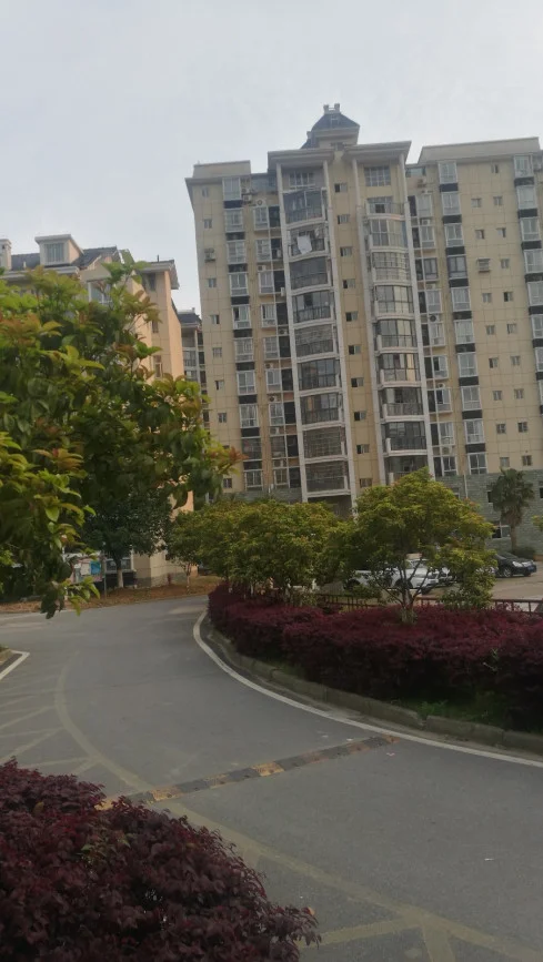 光谷广场地铁站到佳源花都怎么走（武汉佳源花都规划地铁）