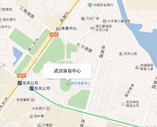 武汉地铁线路图（3月11武汉地铁）6
