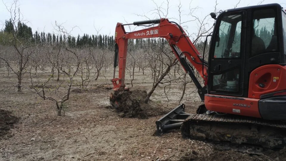 格库铁路中间几个站（库格铁路尉犁）4